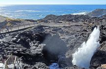 Escape Sydney: Sea Cliff Bridge, Blowhole, Beaches Private Tour 