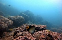 Scuba Diving in Kalpitiya
