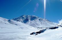 Full-day High Atlas Mountains and Valleys Tour from Marrakech