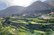Full-day High Atlas Mountains and Valleys Tour from Marrakech