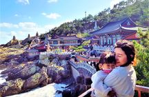 Busan Day Trip from Seoul by KTX - Private Tour with Local Guide