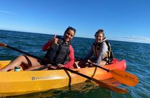 Whitefish Dunes State Park & Cave Point Kayak Tour