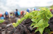 Private Trekking Experience up to 7th station in Mt. Fuji by Car