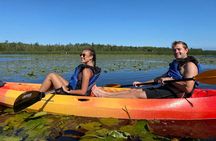 Wetlands Kayak Tour 