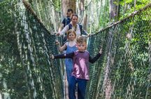 Taman Negara National Park Day Tour with Professional Local Guide