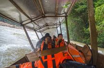 Taman Negara National Park Day Tour with Professional Local Guide