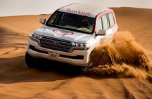 High Red Dunes with Camel Ride, Sandboarding, Falcon Show and VIP BBQ Dinner
