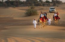 High Red Dunes with Camel Ride, Sandboarding, Falcon Show and VIP BBQ Dinner