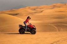 Premium Dubai Red Dunes with quadbike, camel ride and VIP Dinner