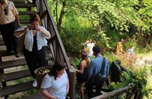 Kulen Elephant Forest & Kampong Phluk by Private Tour