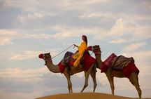 Dubai Self-drive Quad Bike, Sand Boarding, Camels & Refreshments