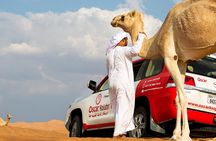 Sunset Camel Trekking Safari with Falcon Show & VIP BBQ Dinner