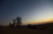 Sunset watching in Al Wahiba Sand