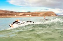 Learn to surf in La Pared on the west side of Fuerteventura