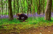 Yoga & Forest Bathing Day Retreat