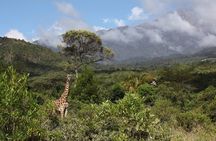 1 Day Short 4x4 Safari: ARUSHA NATIONAL PARK incl. Lodge-Lunch