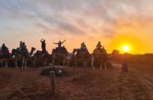 Agadir Sunset Camel Ride with Moroccan Barbecue & Hotel Transfers