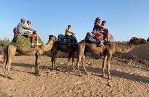 Agadir Sunset Camel Ride with Moroccan Barbecue & Hotel Transfers