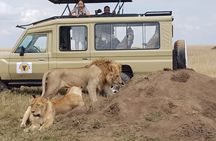 5 Days Serengeti and Ngorongoro Budget Camping Safari Tour
