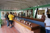 St. Lucia Rum Tasting and Tour