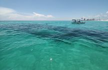 3-Hour Private Dolphin Sightseeing Adventure