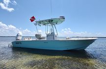 3-Hour Private Dolphin Sightseeing Adventure