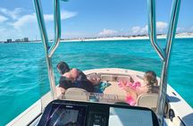 3-Hour Private Dolphin Sightseeing Adventure