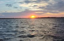 3-Hour Private Dolphin Sightseeing Adventure
