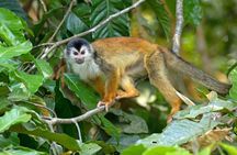 Corcovado National Park Day Hike in Sirena Station