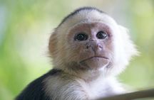Corcovado National Park Day Hike in Sirena Station