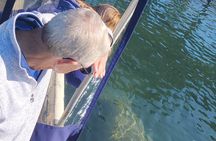 Private Crystal River Wildlife Boat Tour 
