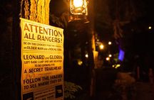 Vallea Lumina Multimedia Evening Experience
