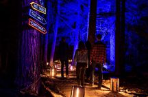 Vallea Lumina Multimedia Evening Experience