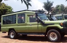 12-Day Moderately Priced Pearl of Africa - Uganda Private Safari