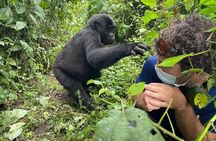 12-Day Moderately Priced Pearl of Africa - Uganda Private Safari