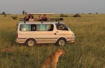 12-Day Moderately Priced Pearl of Africa - Uganda Private Safari