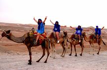 The Agafay Desert: Quad, Camel Pool Dinner and Show