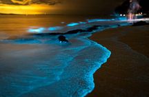Phuket: Phang Nga Bay Bioluminescent Plankton and Sea Canoes tour