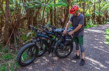 Fat Tire E-Bike Tour through Volcanoes National Park