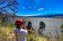 Fat Tire E-Bike Tour through Volcanoes National Park
