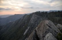 Private Day Tour to Sequoia and Kings Canyon Parks From LA