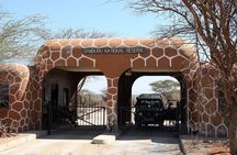 3-Day Samburu safari from Nairobi