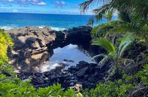 Private Custom Van Full-Day Guided Tour on Big Island of Hawaii