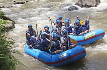 Full day ubud Tour commbine Bali Rafting
