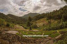 Knuckles Spice Trail Trek from Kandy