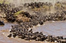 6 Day Camping Safari Small Group Tour