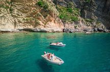 Capri and Sorrento Day Boat Tour from Naples