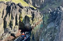 1 Hour Iceland Nature and Wildlife RIB Small Group Guided Safari