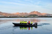 1 Hour Iceland Nature and Wildlife RIB Small Group Guided Safari