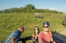 Explore the Enchanting Beauty of Sri Lanka in 12 Days